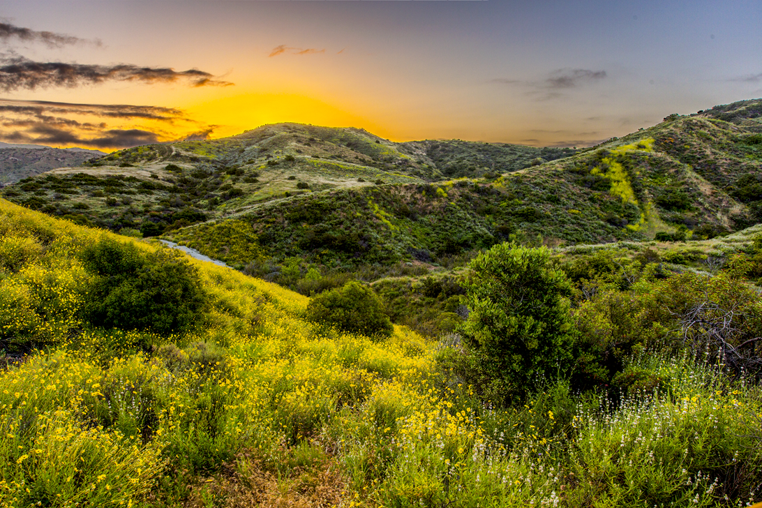 Photo of Upper Chiquita Canyon